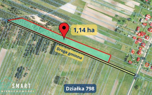 Najnowsze oferty