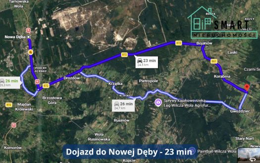 DZIAŁKA LEŚNA OK. 7300 m² | CISÓW LAS | DOJAZD DROGĄ GMINNĄ